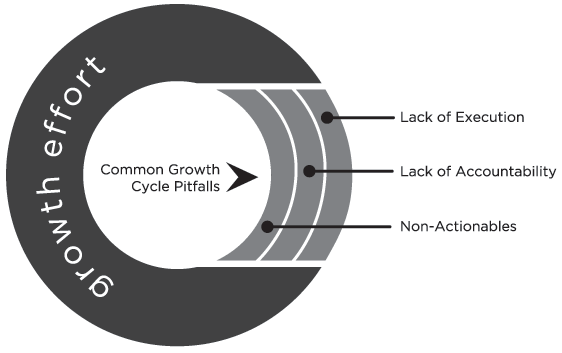 typical growth cycle